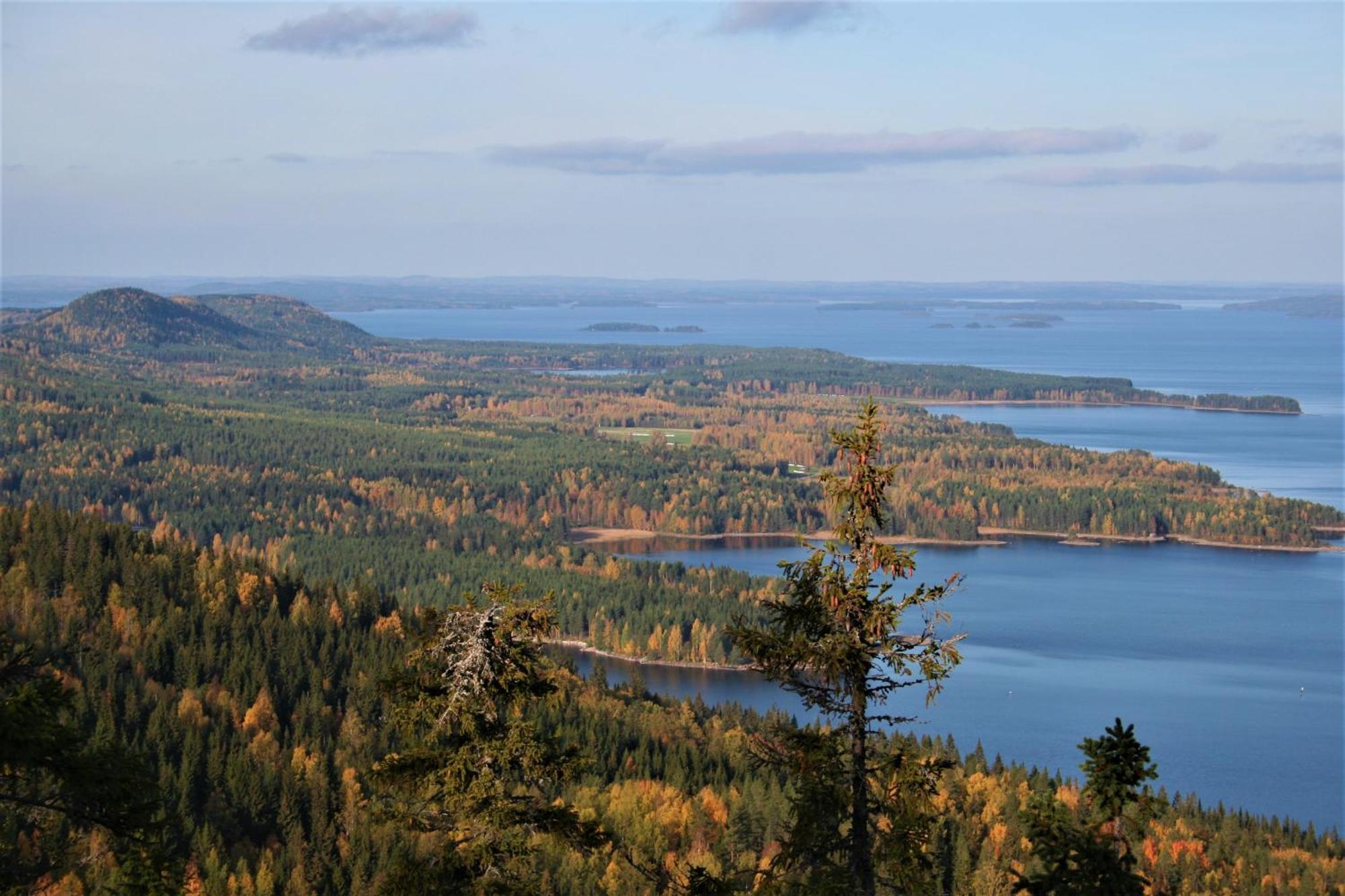 Guesthouse Koli Freetime Ahmovaara Exterior photo